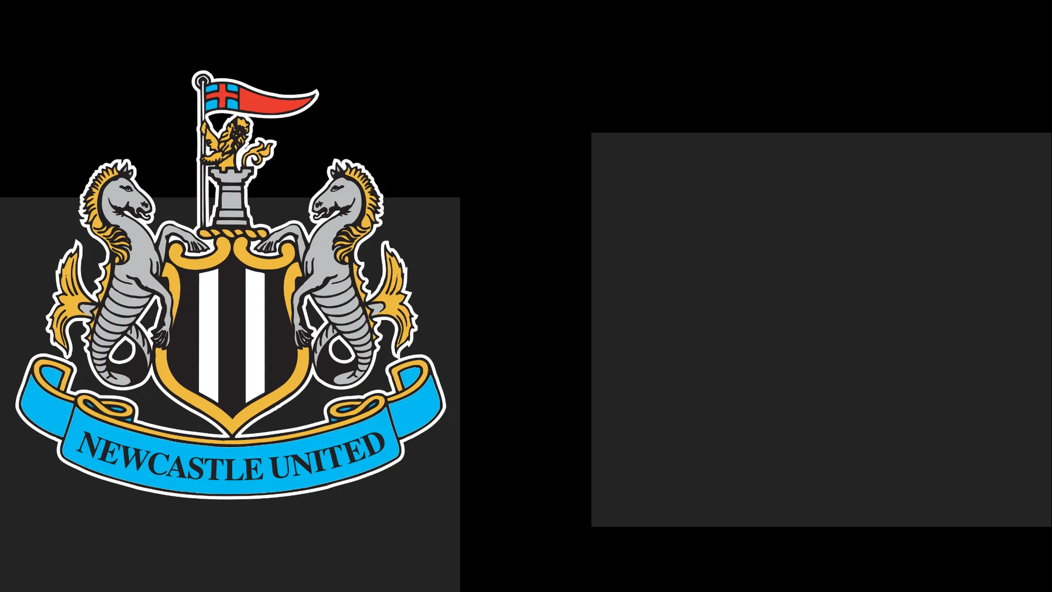 Newcastle Extend Statement of Regret to Supporters Amid Season Ticket Issue