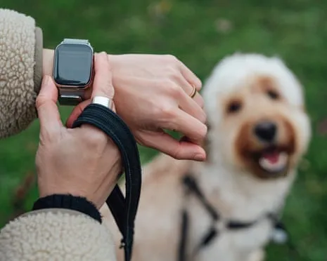 The Reality Concerning Wearable Tech? Daily Existence Feels Fuller Lacking a Nagging Zealot on Your Wrist